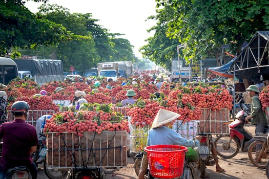 vibrant farmers market with fresh produce