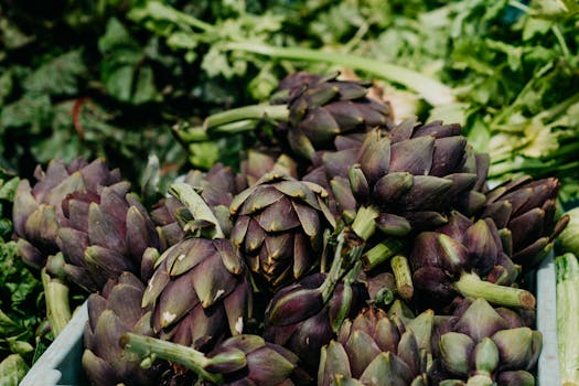 farmers’ market with seasonal produce