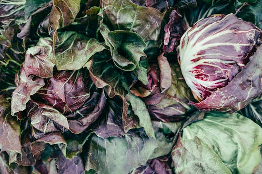 colorful salad made from community garden produce