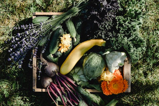 fresh kale in a community garden