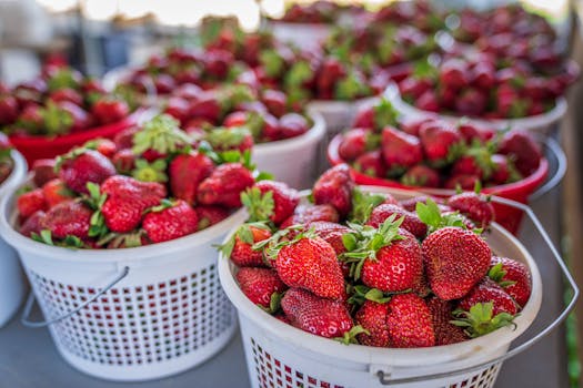 farmers market full of fresh produce