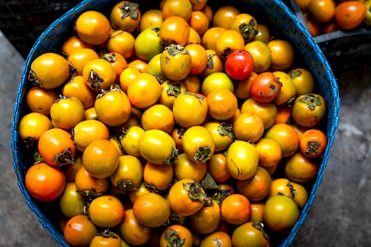 persimmons in a basket