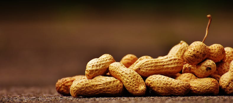 healthy snack prep