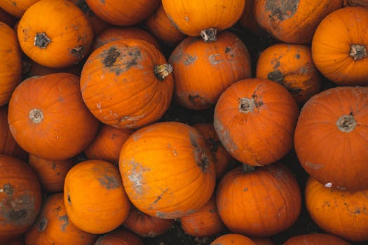 colorful local farm produce