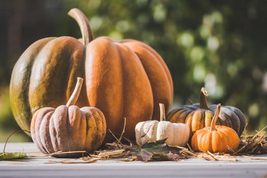 colorful fall produce