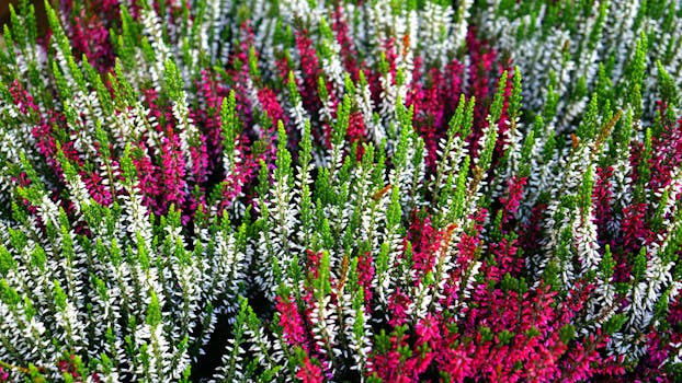 vibrant garden with various herbs