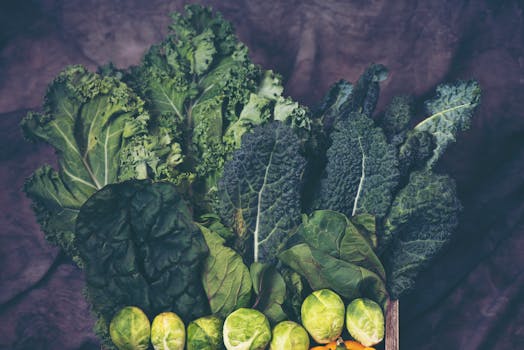 freshly harvested vegetables