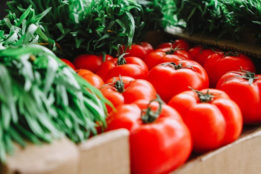 vibrant farmer’s market with local produce