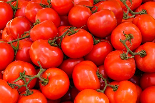 brightly colored salad