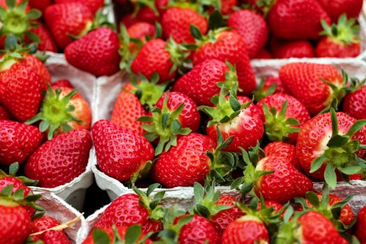 Freshly picked strawberries