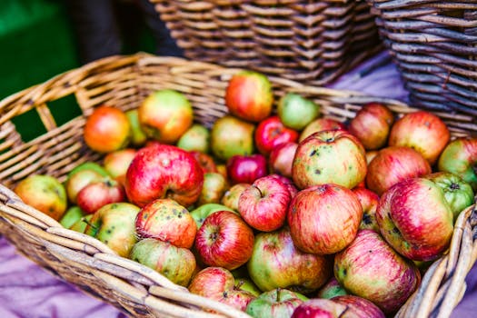 vibrant autumn farmers market