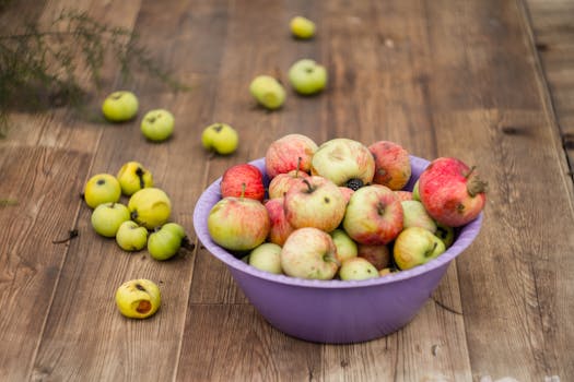 freshly harvested apples