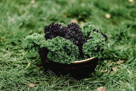 Bowl of vibrant, fresh salad with seasonal ingredients