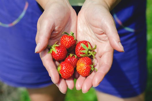 freshly picked seasonal produce