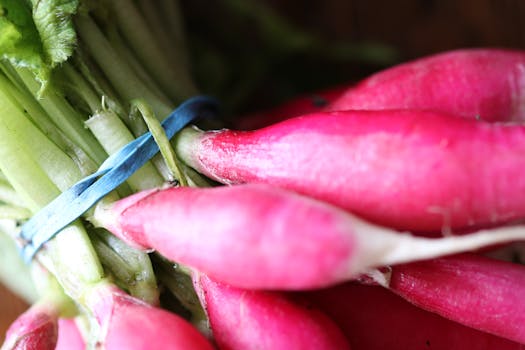 colorful spring produce