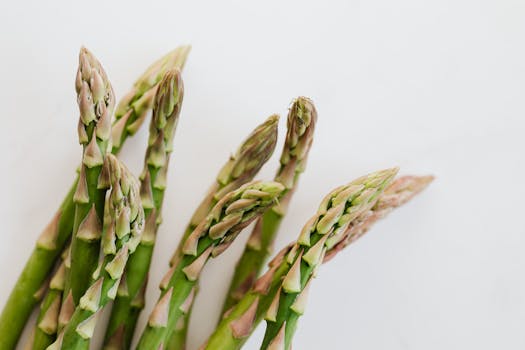 fresh spring salad