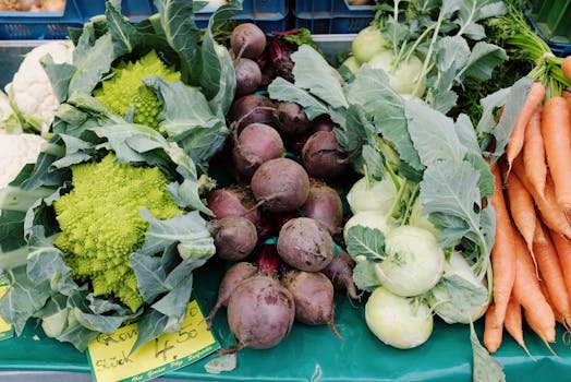 freshly harvested seasonal vegetables