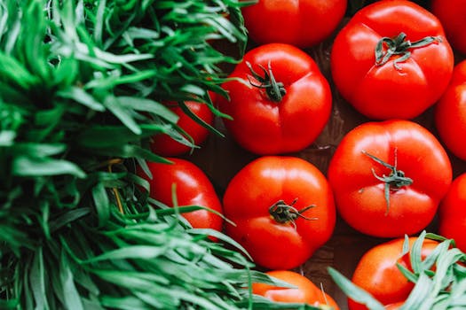 delicious seasonal salad with persimmons