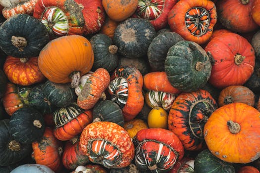 colorful array of winter vegetables